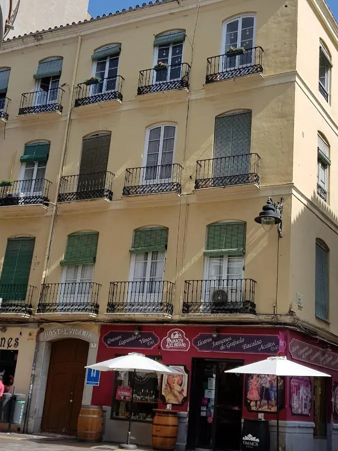 Hostal Vidamia Hostel Malaga